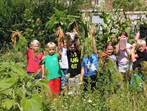 IMG_20210812_123146_cut