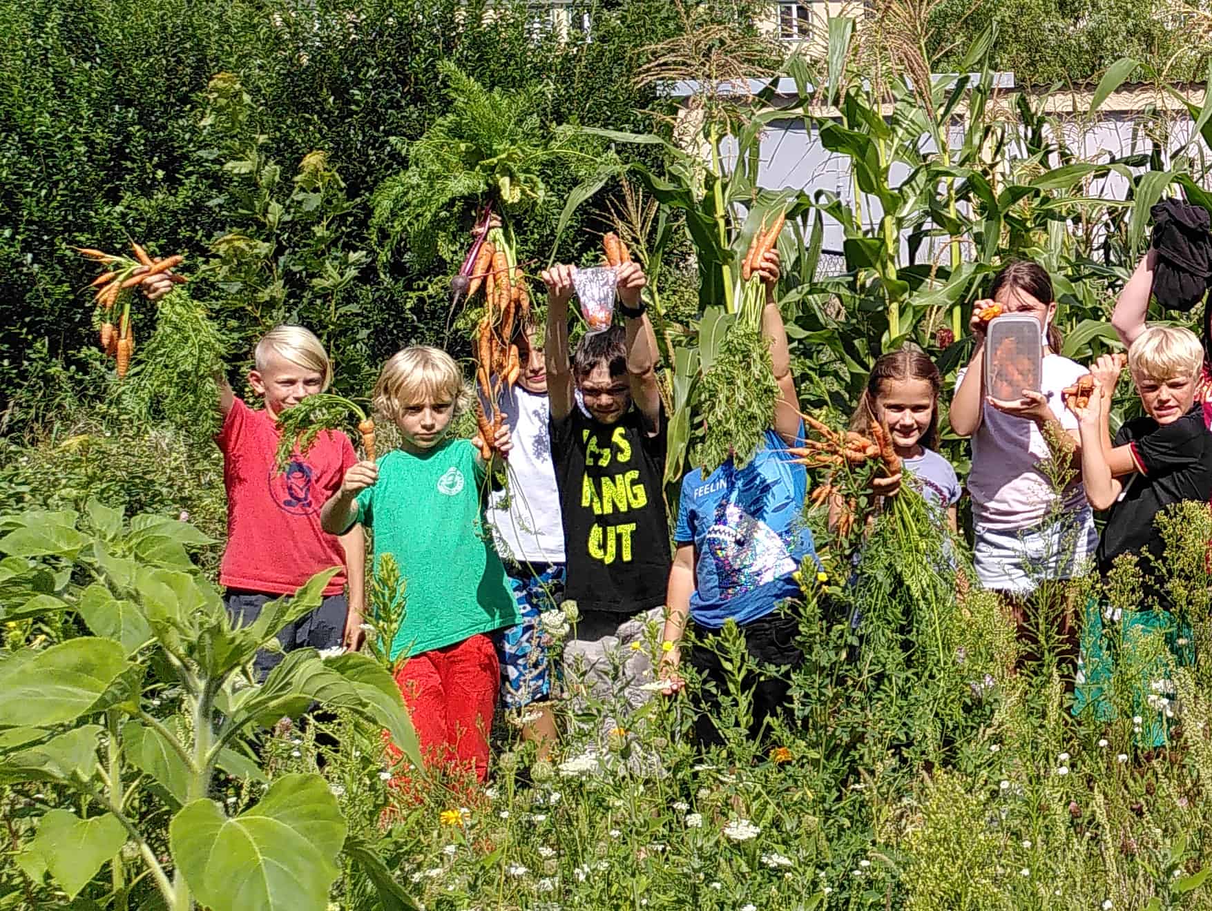 IMG_20210812_123146_cut